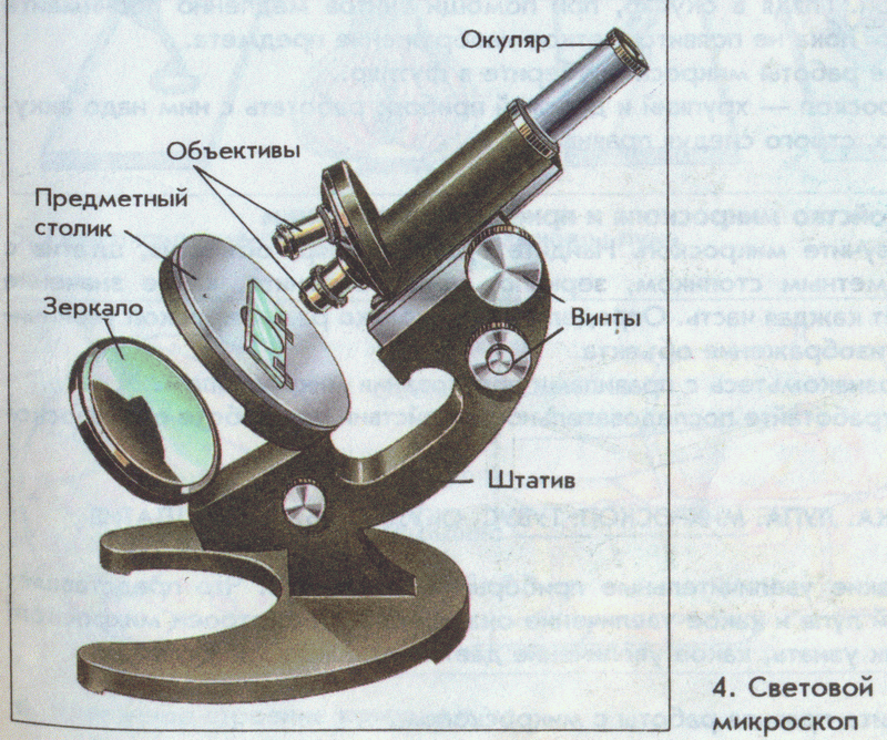 устройство микроскопа. микроскоп