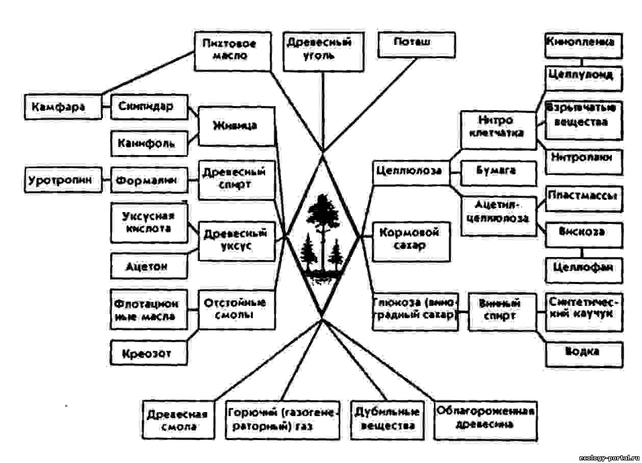 Схема значение. Схема использования древесины при ее переработке. Использование древесины в лесохимической промышленности. Лесохимическая промышленность схема. Схема использования леса.