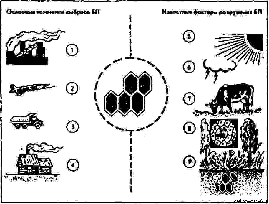 На рисунке показана схема загрязнения